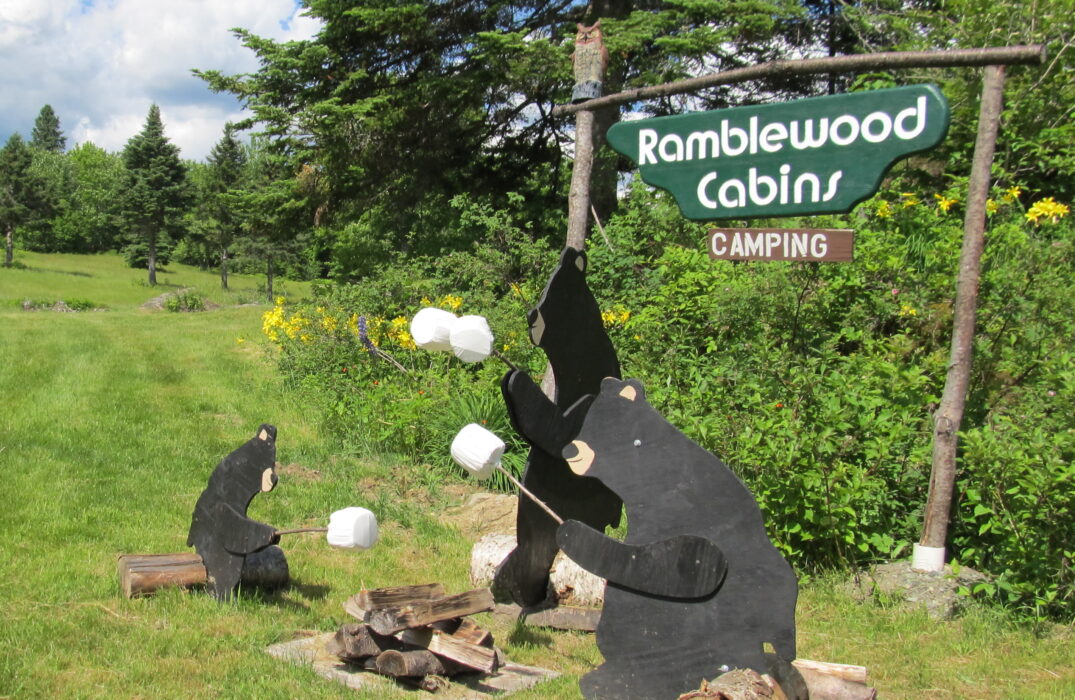 Visit the bear family on your way to the campground