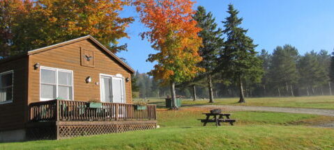 Brown cabin with picnic table and autumn trees