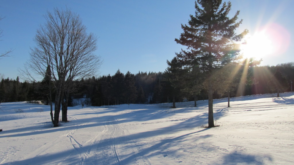 Snowmobile trail #139 in April